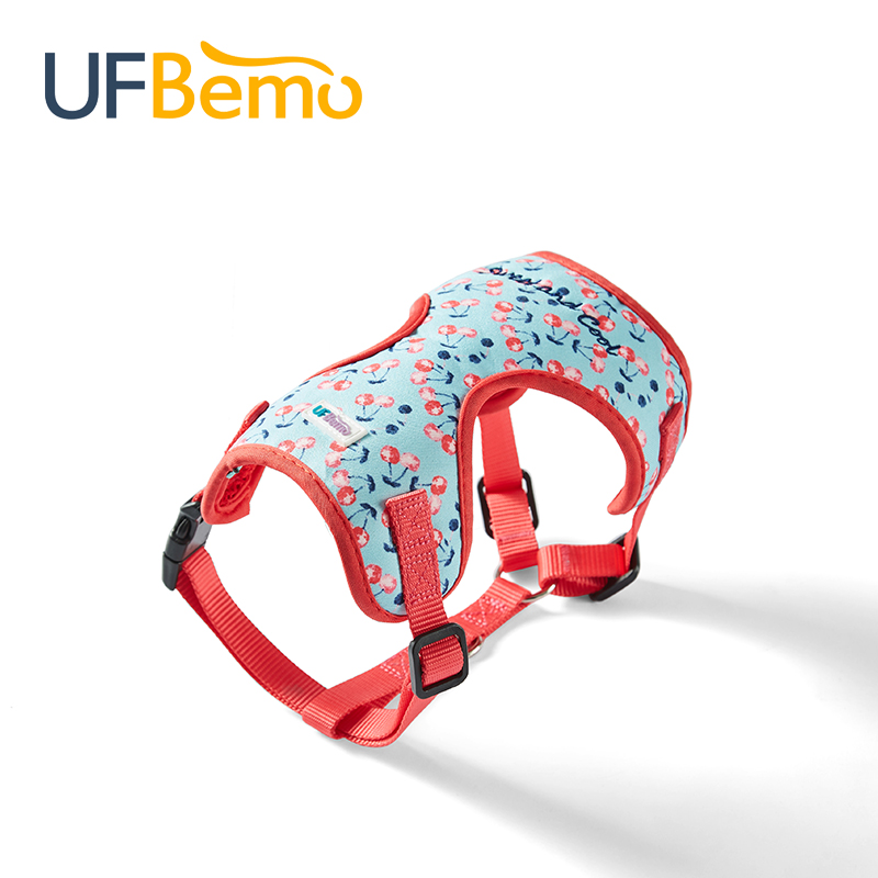 UFBemo dog leash vest-type cat chest hold baby bag small and medium-sized dog teddy adjustable dog leash