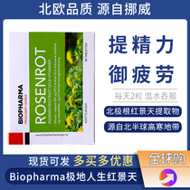 BP Norway Biopharma Polar Ginseng Rhodiola Arctic Root Plateau Oxygen Absorption Sub-health Fatigue Vitamin B