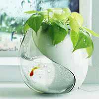 Special postage for the postage