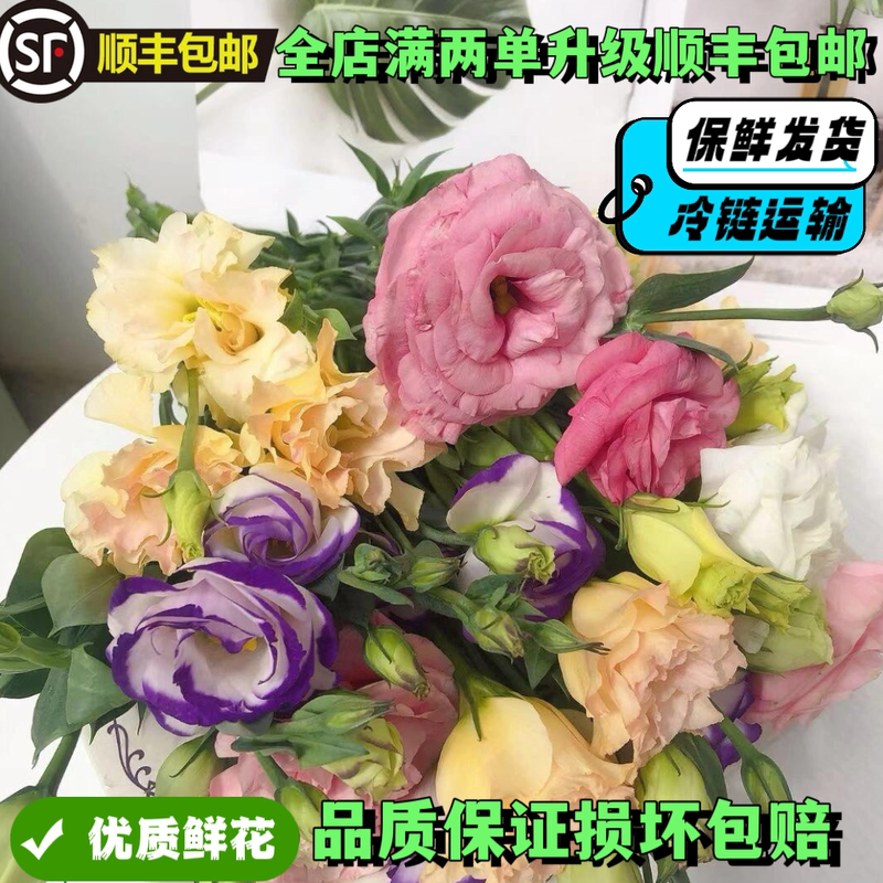 Eustoma Flowers, High-End Green Flower Bouquets, Hydroponic Flower Arrangements, Wedding Combinations, Direct Delivery from Yunnan Base Eustoma Flowers, High-End Green Flower Bouquets, Hydroponic Flower Arrangements, Wedding Combinations, Direct Delivery from Yunnan Base