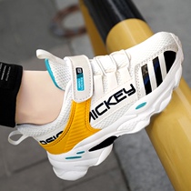 Hongxing Elk leads childrens shoes boys 21 summer mesh breathable sneakers childrens spring and autumn thin models