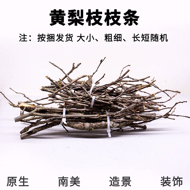 南美缸造景必备!天然枯树枝&黄梨枝,让你的鱼缸变身热带雨林秘境!-造景-淘宝好物网