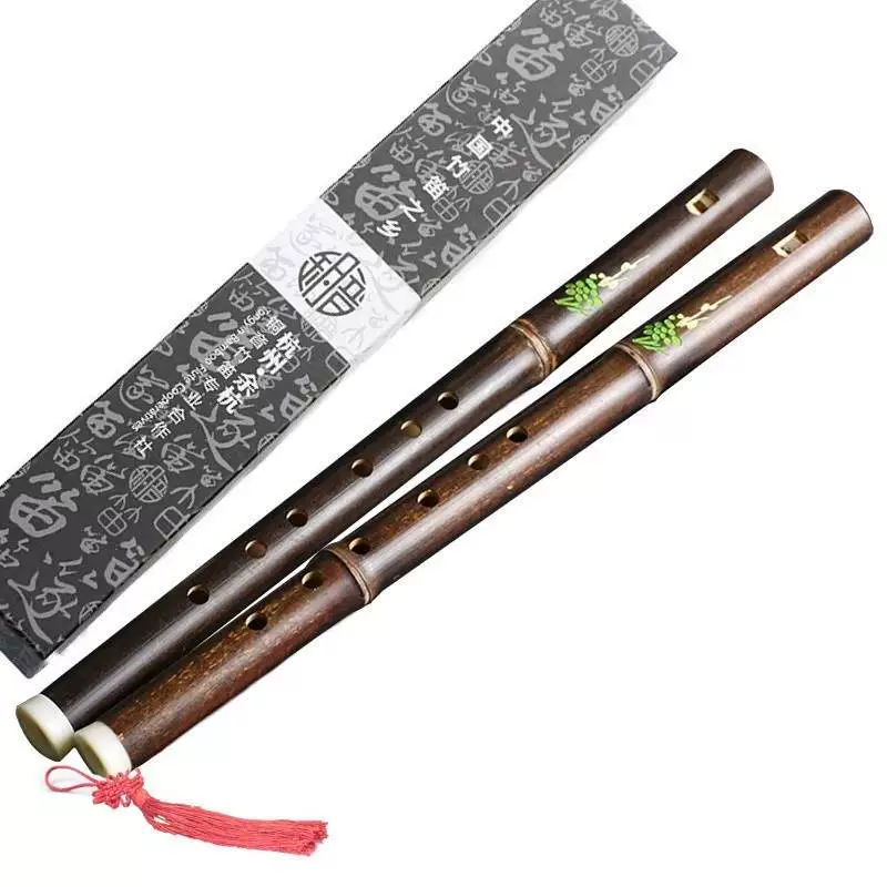 Máy ghi âm kèn clarinet tre màu tím sáo trúc mới bắt đầu học nhạc cụ f giai điệu trẻ em học sinh người lớn tự học nhạc cụ nhỏ phong cách cổ xưa f - Nhạc cụ dân tộc