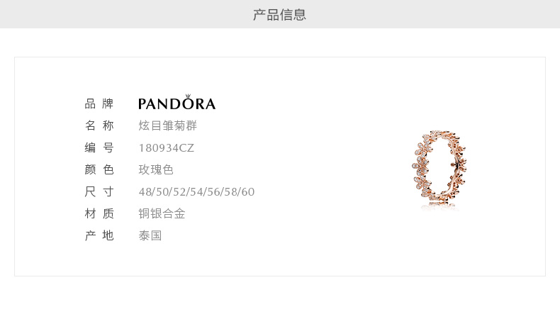 Bague mixte PANDORA    en Argenterie - Ref 3089059 Image 27