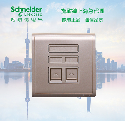 施耐德 Switch Socket Fengshangjin Series Телефон и информация о компьютере