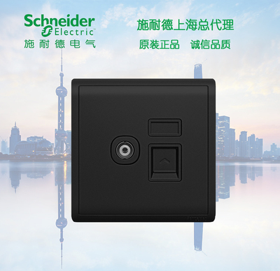 施耐德 Switch Socket Fengshang Series TV + Компьютерный телевидение