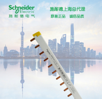  Schneider 2P bus 24 bits can be connected to 12 2P air-open connection copper row wiring row A9XPH224