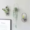 Nordic style modern creative personality wall wall hanging simulation green plant wall decoration Flower pot floral home entrance decoration