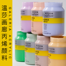 Windsor Newton Gallery Acrylic Paint Set Fluid Painting Satin Hand Painted DIY Waterproof Art Creation Wall Painting Graffiti Outdoor Wall Painting Indoor Waterproof Fluorescent Color Hand Painted Painting