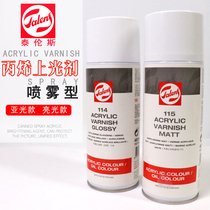 Imported Dutch Terence Propylene Pigments Medium Dose 114 Light 115 Abroad light Upper light dose 400ML spray-type picture protective light lacquer Fluid painting Propylene Painting Painter Special Light Oil