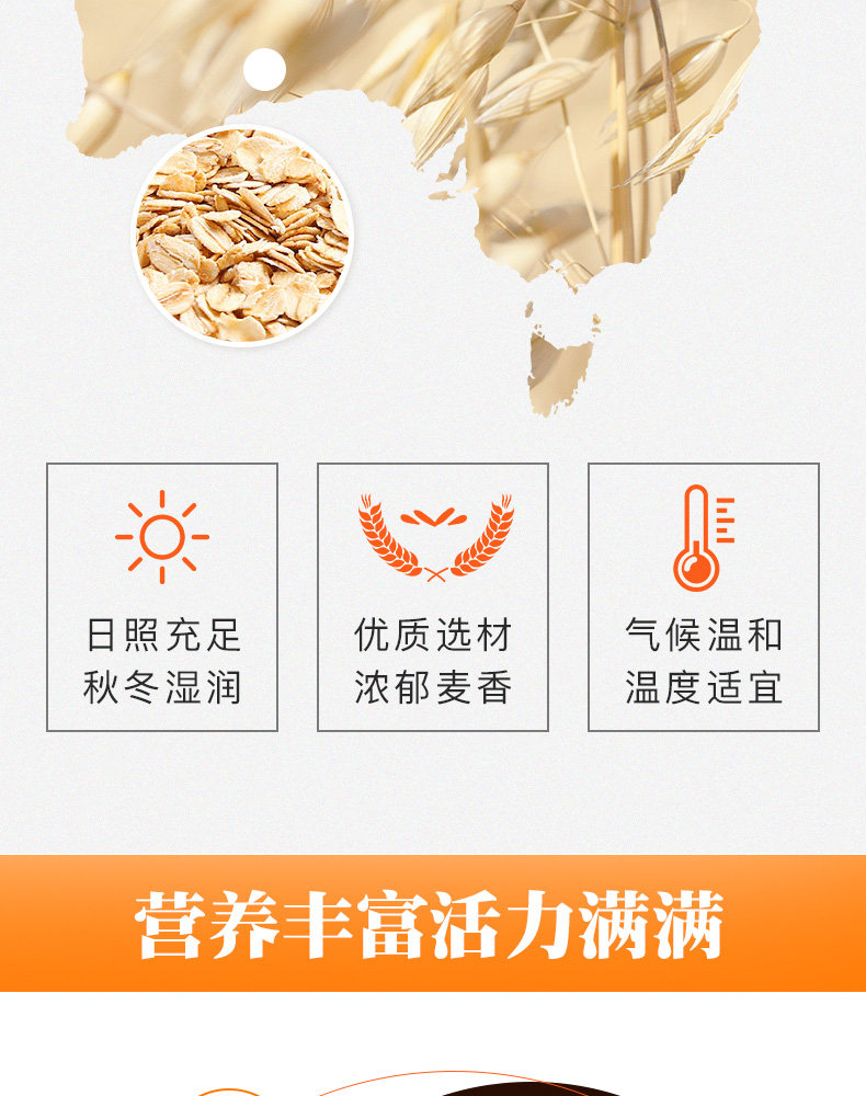 Pure Oatmeal 1000GX3 Подробности Page_05.jpg