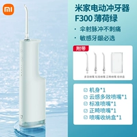 Mi Home Electric F300 · Mint Green [Новое обновление продукта] Обычный экспресс