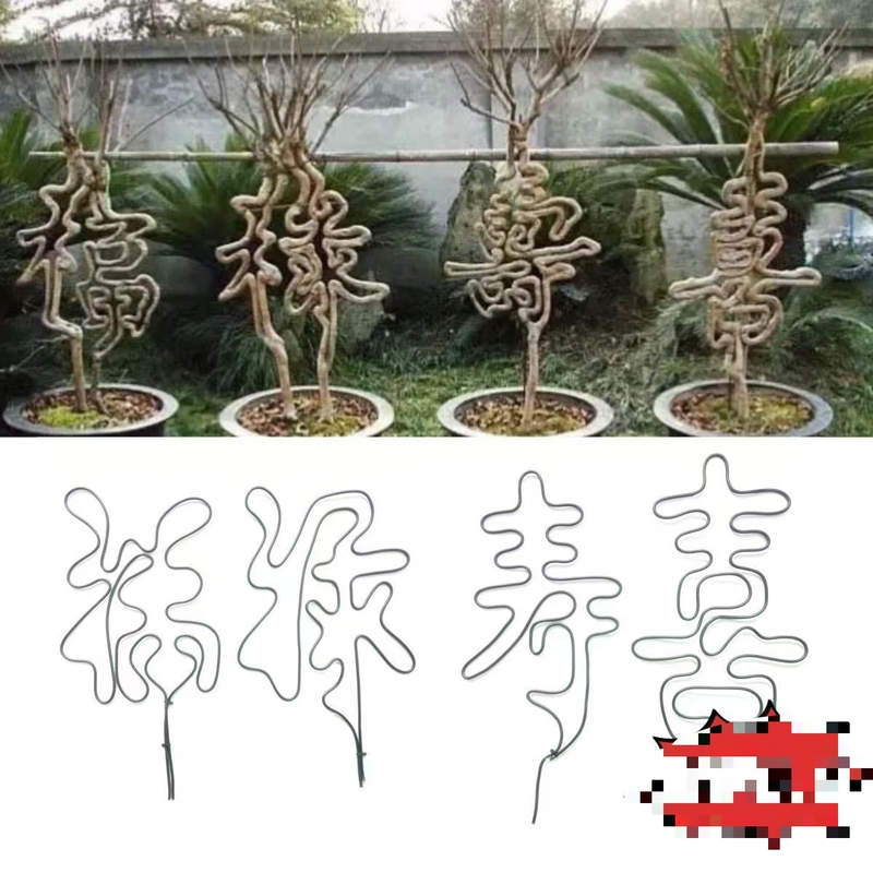 Bonsai Shaping Mold (Excluding Plants) Gold Bullet Shape Mold for Bonsai Designs with the Words Fortune, Prosperity, Longevity, and Happiness Bonsai Shaping Mold (Excluding Plants) Gold Bullet Shape Mold for Bonsai Designs with the Words Fortune, Prosperity, Longevity, and Happiness