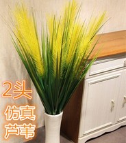 Single 2-head reed grass long branch flower arrangement flower silk flower fake flower hotel Reed false Reed simulation