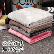 Pet blanket Teddys Quilt Dog Blanket Pad Cat Small Blanket Large dog Four seasons Kennel mat Winter