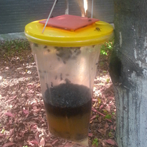 Disposable fly cage fly lure bag hanging flies-away Fly Catcher