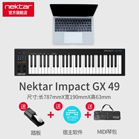 GX49+педаль+подлинное программное обеспечение Bitwig+Piano Bag