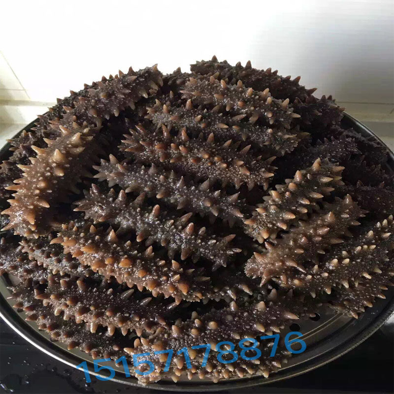 Kanto sea cucumber fresh frozen aquatic dry goods bubble hair ready-to-eat meat sashimi 85g bagged Dalian Liao Ginseng