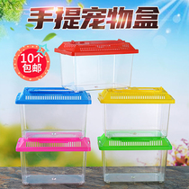 Outside with turtle cylinder amphibious Pet Box Plastic Rearing Tank Aquarium Fish Tank Small Fish Turtle box Fighting Fish