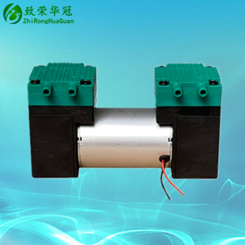 Double head pump micro vacuum pump suction small electric plastic diaphragm suction pump micro small double head vacuum pump