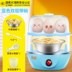 nồi lẩu điện mini gia re Trứng hấp nhỏ tự động hộ gia đình nhỏ Máy hấp trứng đa chức năng hẹn giờ mới tắt trứng. - Nồi trứng nồi nấu xôi mini Nồi trứng