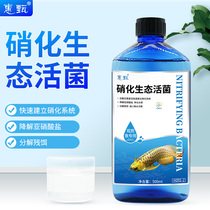 Huizhen Nitrifying Bacteria Fish Tank Nitrifying Bacteria Aquarium Water Purifier to Reduce Water Decomposition Fecal Residue Bait