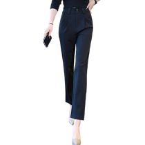 Stretch Slimming Cigarette Pants Womens 2024 Spring and Autumn New Fashion Casual Versatile Slimming Small Feet Nine-Point Suit Pants