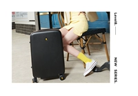 20 -килограммовый прозрачный матовой горизонт.