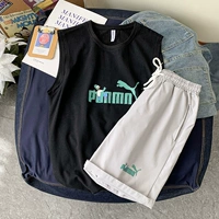 BX2104 Black+DK213 светло -серый