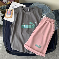 BX2104 Темно -серый+DK213 Кирпичный красный