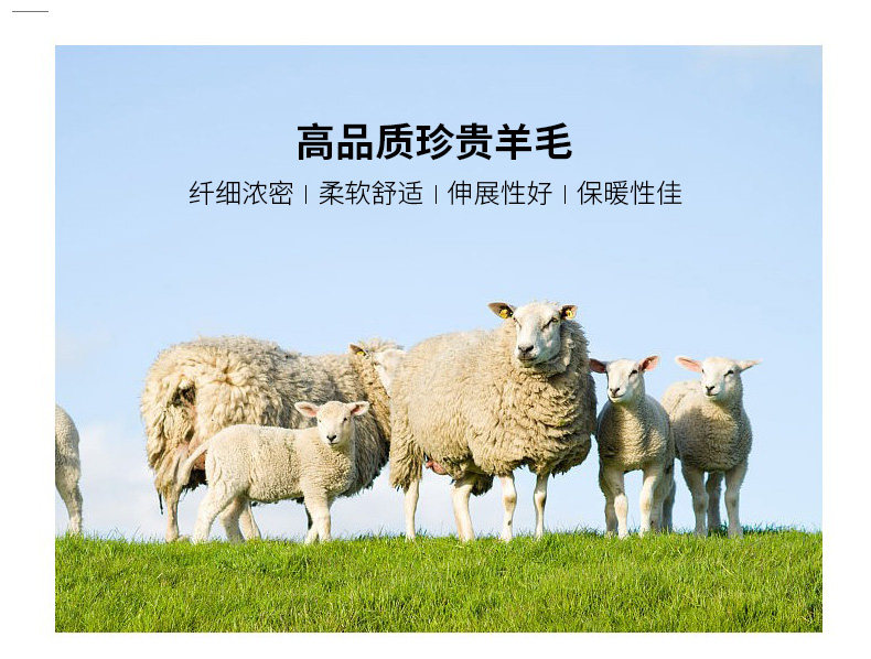 罗蒙 男女 100%纯羊毛针织衫 圆领/V领/高领可选 图3