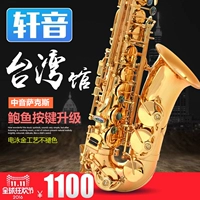 Xuan Nhạc cụ e-phẳng alto saxophone ống bào ngư nút người mới bắt đầu biểu diễn chuyên nghiệp - Nhạc cụ phương Tây đàn nguyệt