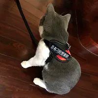 Dây mèo mèo dây xích mèo chống phá dây mèo dây đeo ngực mèo dây xích mèo cổ mèo cung cấp - Cat / Dog hàng ngày Neccessities bình uống nước cho mèo