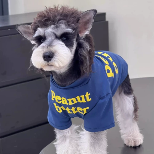 Домашняя кошка и одежда для собак лето чистое хлопок спрятало синюю английскую футболку в помещении.