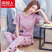 Antarctic new pajamas official shop pajamas womens summer short-sleeved trousers pure cotton suit Korean two-piece set