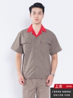 Серый красный воротник