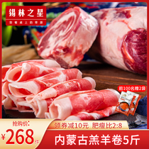 Xilin Star Inner Mongolia Mutton Roll Shabu Shabu Whole Hot Pot Ingredients Lamb Fresh Cut Lamb Fresh 5kg