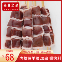 Xilin Star Inner Mongolia sheep waist string fresh frozen barbecue ingredients semi-finished crude oil sheep waist 20 skewers