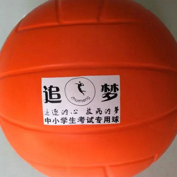 Ballon de volley-ball - Ref 2013131 Image 8