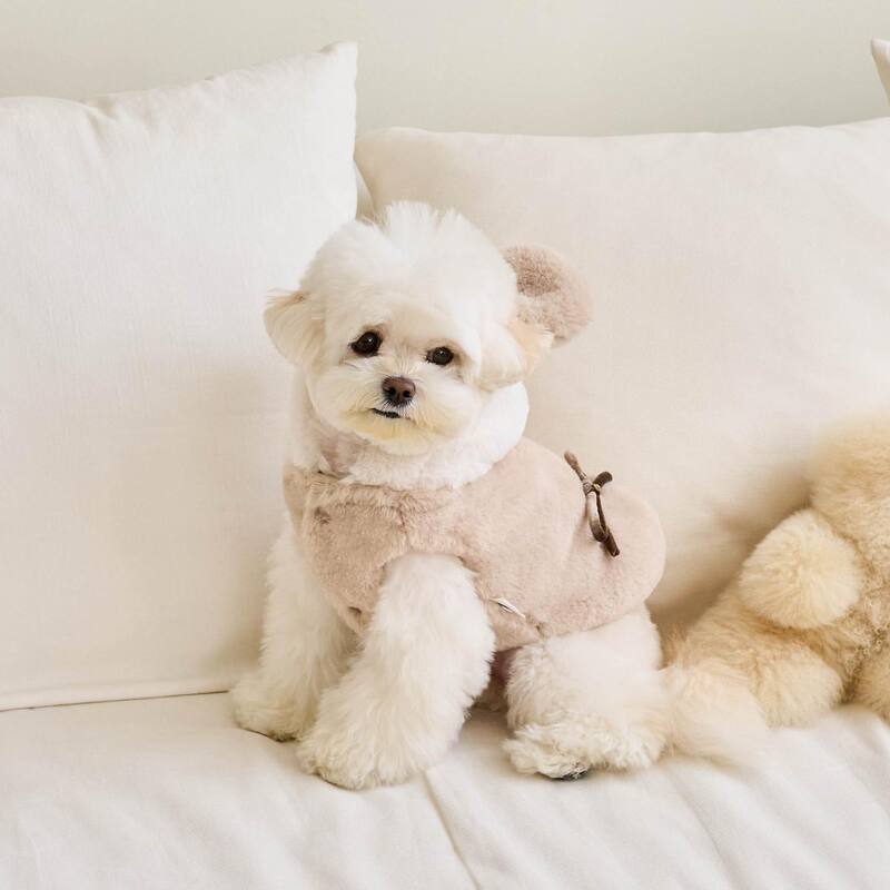 New Autumn and Winter Warm Coats for Dogs and Cats, Bear Transformation Outfits, Leash-Compatible Clothing for Bichon, Teddy, Pomeranian Pets