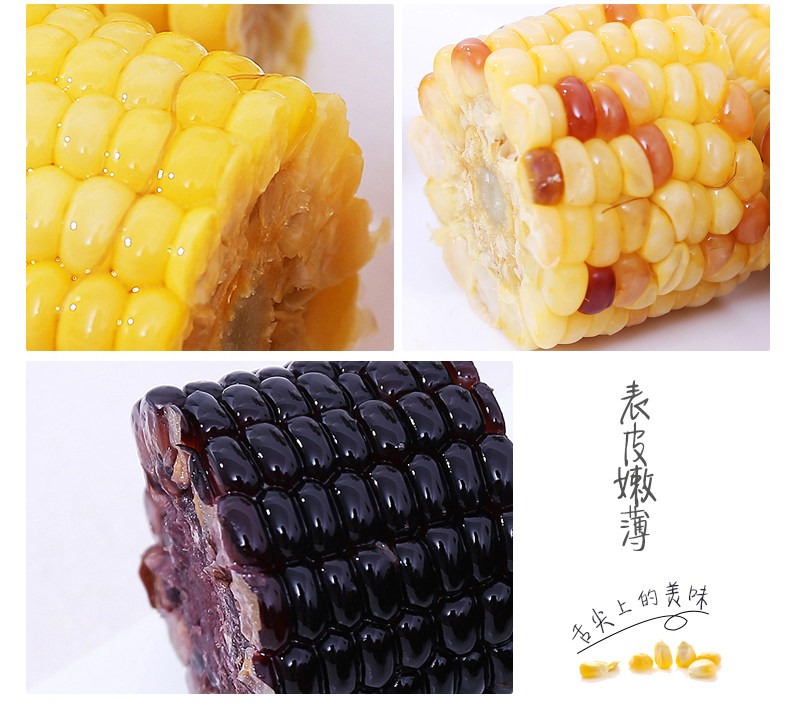3 желтый 3 белых 3 цветов 3 Black_an Corn DeftiaL_2_02.jpg