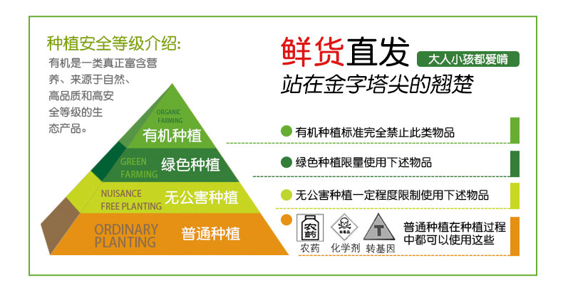 4 Huang 4 White 4 Black