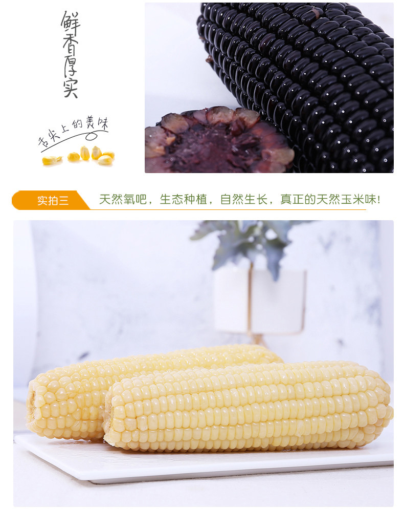 3 желтые 3 белые 3 цветы 3 Black_an Corn DeftiaL_2_01.jpg