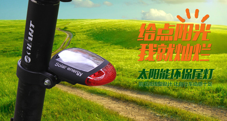 Eclairage pour vélo - Taillights - Ref 2398734 Image 6