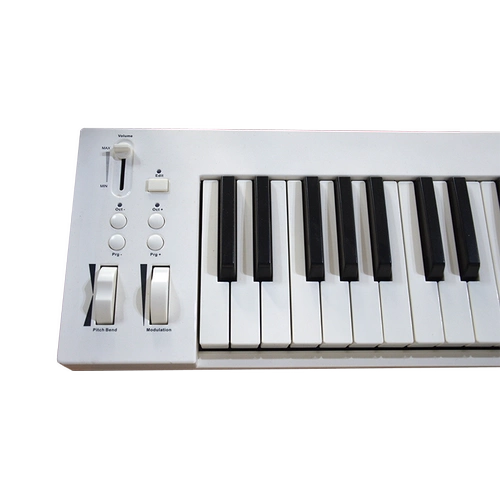 Dzmaster Acorn PS61 Ключевой профессиональный компиляция и компиляция Электронная музыка MIDI клавиатура полная контроллер