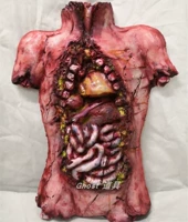 Пузырьковые тела