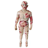 Мышечная мышца мышцы