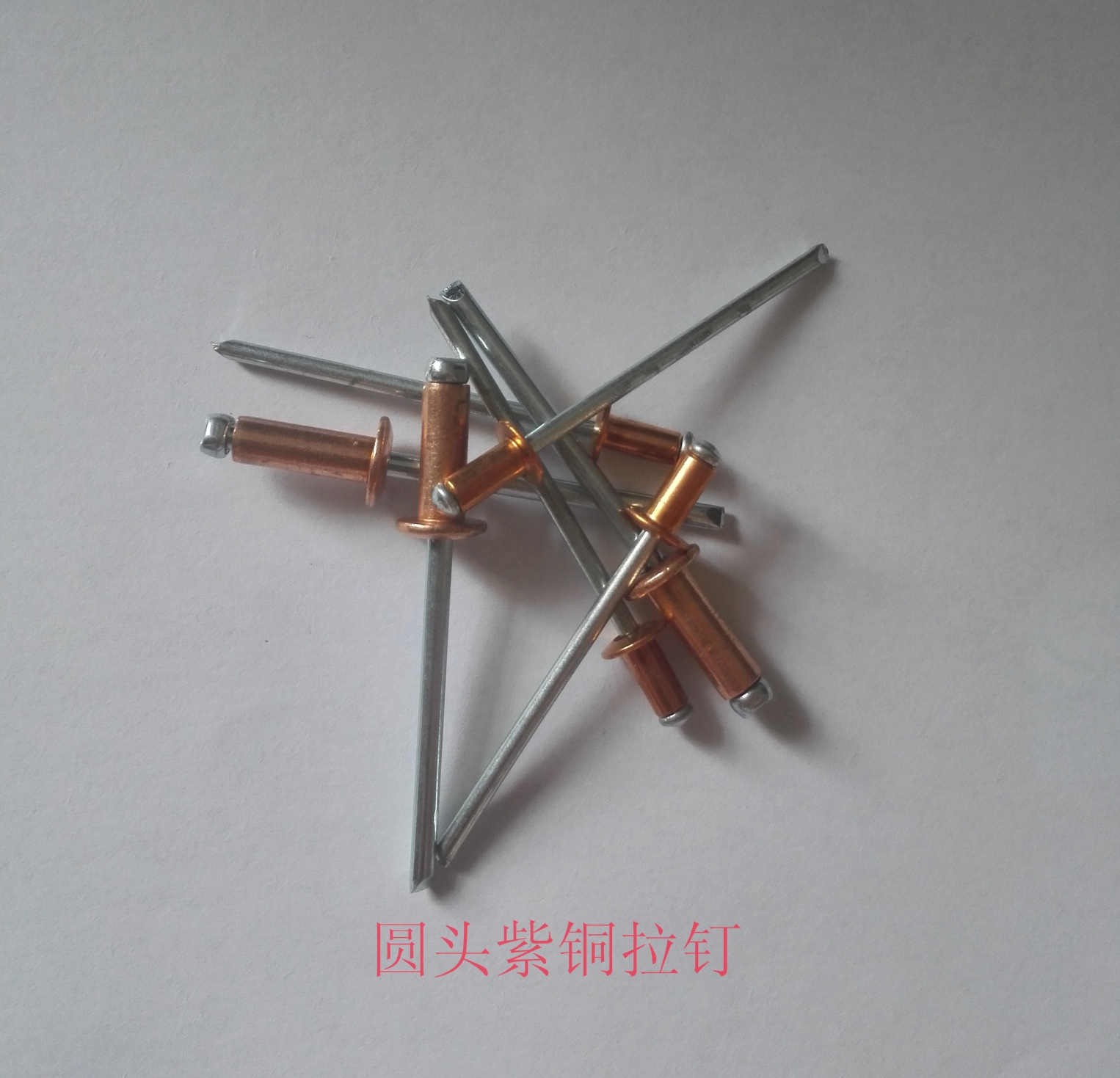 Copper round head pull rivets blind rivets