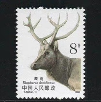 China stamps T132 Elk 2-1 Elk 8 points single piece original glue complete product supplement and sticker to protect animal themes