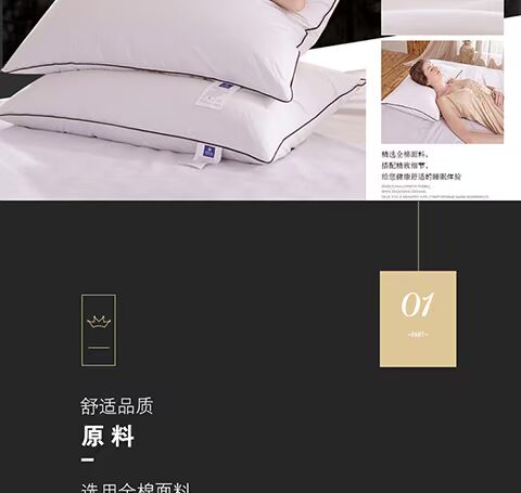 Khách sạn năm sao Hilton đặc biệt xuống gối 100% ngỗng trắng xuống gối lông vịt đơn - Gối gối tựa lưng văn phòng
